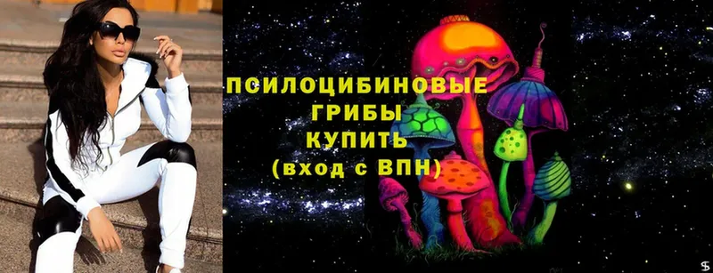 даркнет сайт  Нововоронеж  Галлюциногенные грибы Cubensis 